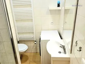 Prodej bytu 1+kk, Kralupy nad Vltavou - Lobeček, Cesta brigádníků, 40 m2