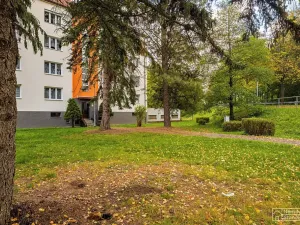 Prodej bytu 3+1, Písek, Budovatelská, 80 m2