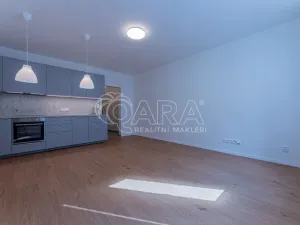 Pronájem bytu 1+kk, Praha - Žižkov, Viklefova, 34 m2