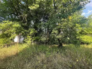 Prodej pozemku pro bydlení, Týnec nad Sázavou, 3975 m2