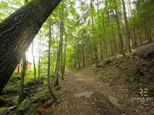 Prodej rodinného domu, Doubravčice, Lázná, 107 m2