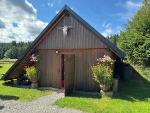Prodej ubytování, Nové Hutě, 300 m2