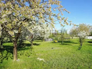 Prodej zahrady, Mělník, 9817 m2