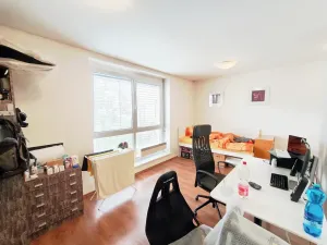 Pronájem bytu 1+kk, Brno, Skořepka, 24 m2