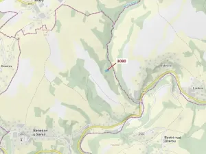 Dražba lesa, Benešov u Semil, 2540 m2