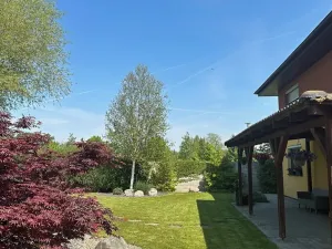Prodej rodinného domu, Borek, 170 m2