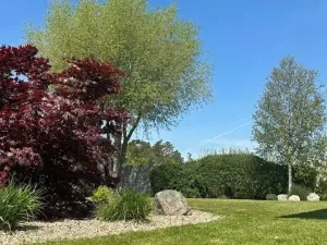 Prodej rodinného domu, Borek, 170 m2