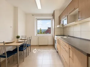 Prodej bytu 3+1, Znojmo, Vídeňská třída, 79 m2