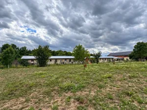 Prodej komerční nemovitosti, Vrbice, 700 m2