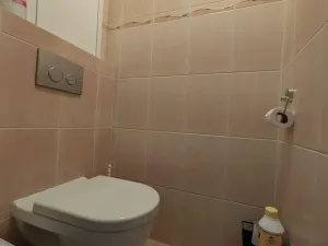 Prodej bytu 3+1, Přerov - Přerov I-Město, Velká Dlážka, 61 m2