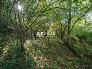 Prodej pozemku pro bydlení, Kanice, 2194 m2