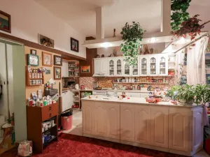 Prodej rodinného domu, Litoměřice - Předměstí, Stránského, 295 m2