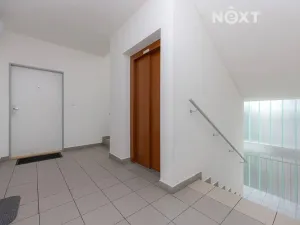 Prodej bytu 2+1, Plzeň, Černická, 65 m2