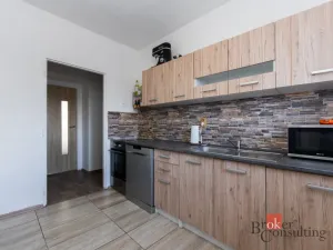 Prodej bytu 1+1, Zabrušany - Všechlapy, 42 m2