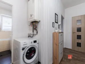 Prodej bytu 1+1, Zabrušany - Všechlapy, 42 m2