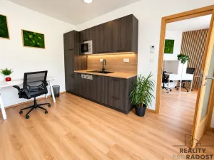 Pronájem bytu 2+kk, Olomouc, Dolní novosadská, 55 m2