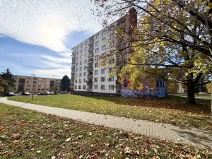 Prodej bytu 3+1, Planá, Fučíkova, 60 m2