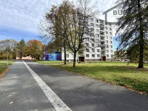 Prodej bytu 3+1, Planá, Fučíkova, 60 m2