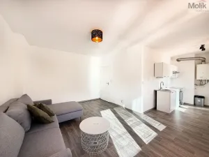 Prodej bytu 2+1, Teplice - Řetenice, V břízkách, 50 m2