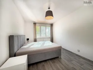Prodej bytu 2+1, Teplice - Řetenice, V břízkách, 50 m2