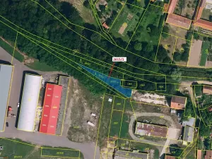 Dražba lesa, Horní Dunajovice, 391 m2