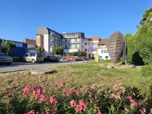 Prodej bytu 1+kk, Bystřice nad Pernštejnem, Masarykovo náměstí, 40 m2