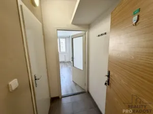 Pronájem bytu 1+kk, Hodonín, Pančava, 17 m2