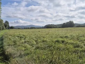 Prodej pozemku pro bydlení, Jestřebí, 1898 m2