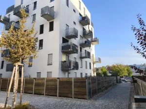 Pronájem bytu 1+kk, Olomouc, Eduarda Hamburgera, 31 m2