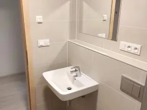 Pronájem bytu 1+kk, Olomouc, Eduarda Hamburgera, 31 m2
