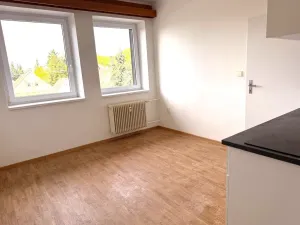 Pronájem bytu 2+kk, Olešná, 32 m2