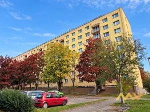 Pronájem bytu 1+1, Hradec Králové - Moravské Předměstí, Štefánikova, 38 m2