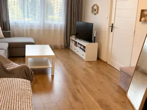 Pronájem bytu 1+1, Plzeň, Rabštejnská, 39 m2