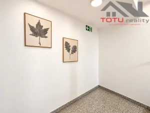 Pronájem bytu 2+kk, Černožice, Gen. Svobody, 50 m2