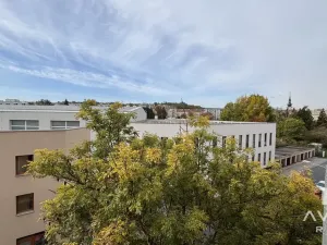 Prodej bytu 3+kk, Brno, Polní, 72 m2