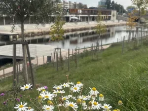 Prodej bytu 3+kk, Brno, Polní, 72 m2