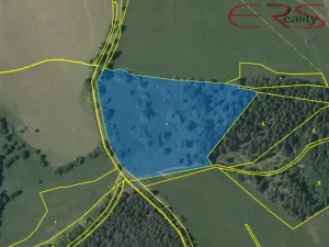 Prodej louky, Nová Ves - Louka, 24249 m2
