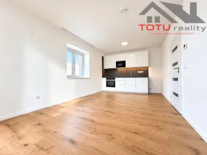 Pronájem bytu 3+kk, Černožice, Gen. Svobody, 73 m2