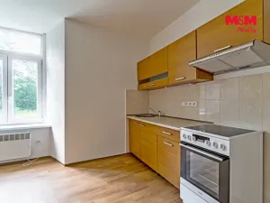 Pronájem bytu 1+kk, Vlčice, 36 m2