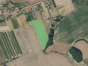 Prodej pole, Kraborovice, 8006 m2