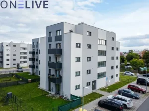 Prodej bytu 1+kk, Heřmanova Huť, U Pondu, 35 m2