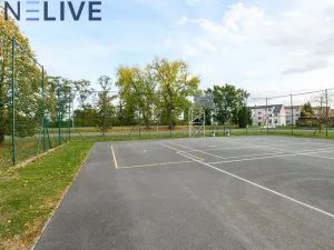Prodej bytu 1+kk, Heřmanova Huť, U Pondu, 35 m2