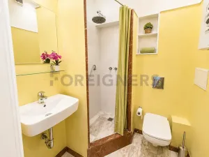 Pronájem bytu 3+1, Praha - Vinohrady, Korunní, 95 m2