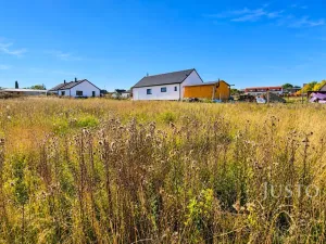 Prodej pozemku pro bydlení, Čížová - Zlivice, 955 m2