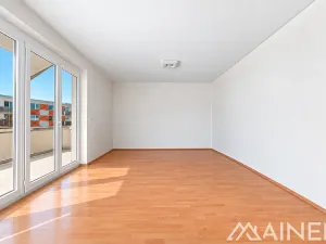 Pronájem bytu 3+kk, Plzeň, Znojemská, 86 m2