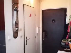 Prodej bytu 2+kk, Praha - Zličín, Nedašovská, 41 m2