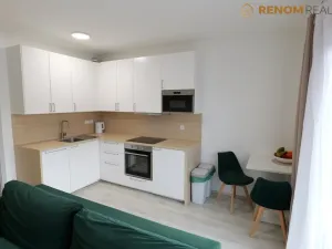 Pronájem bytu 1+kk, Olomouc, Wolkerova, 42 m2