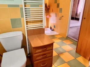 Prodej rodinného domu, Bílina - Újezdské Předměstí, Alšova, 150 m2