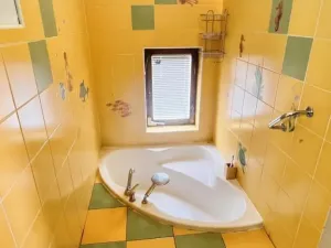 Prodej rodinného domu, Bílina - Újezdské Předměstí, Alšova, 150 m2