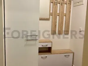 Pronájem bytu 1+kk, Brno, Adamcova, 34 m2